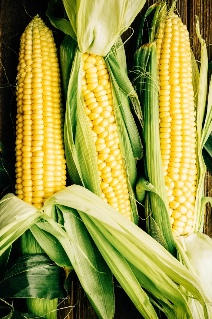 GOOD AGRICULTURAL PRACTICES FOR MAIZE PRODUCTION