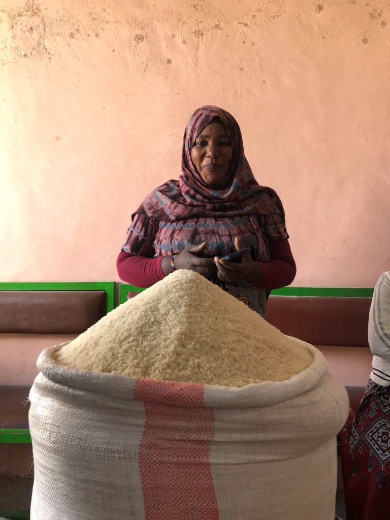 The impact of peer collaboration: gathering to explore inclusive business models in the rice sector of Tanzania.